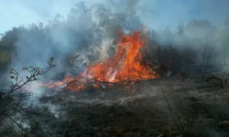 Ловеч с апел: Зачестиха пожарите, бъдете отговорни