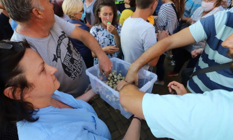 Разхищение: Протестиращи мятаха пъдпъдъчи яйца по МС (СНИМКИ) - Tribune.bg