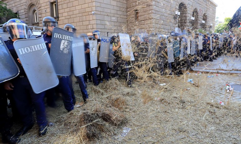 Клада от слама за полицаите на протеста (ГАЛЕРИЯ) - Tribune.bg