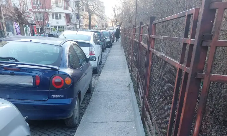 Правил съм път вероятно на десетки жени, нито една, ни-то ед-на, не каза благодаря! - Tribune.bg