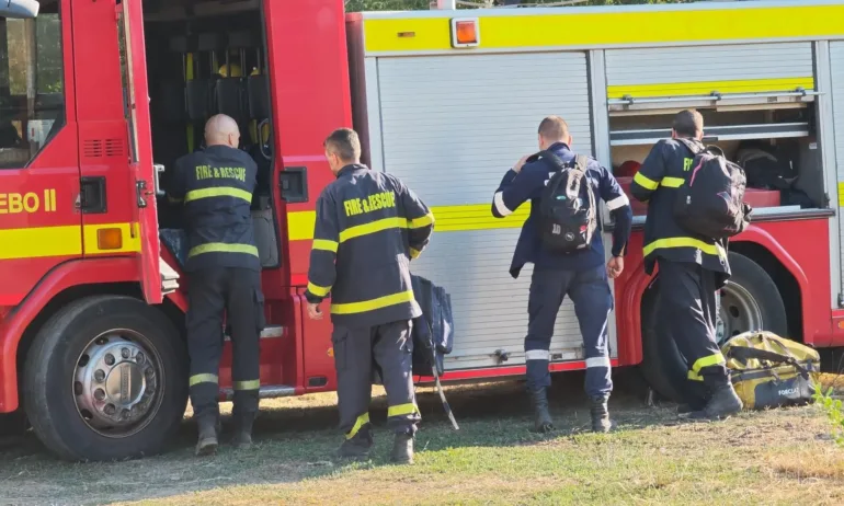 Голям пожар се разрази близо до Гребната база в Пловдив - Tribune.bg