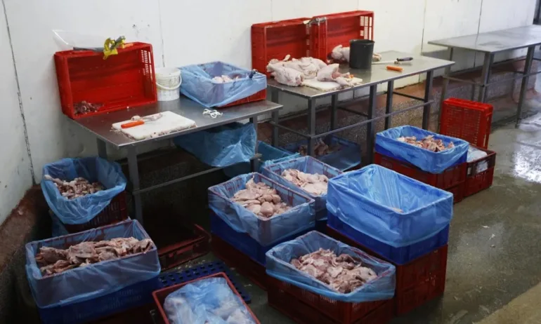 За месец експертите от БАБХ са спрели на границата над 320 тона пратки с храни и фуражи - Tribune.bg