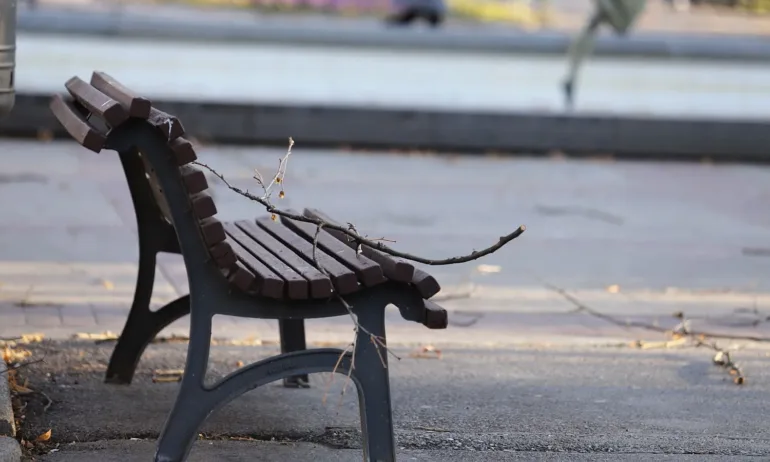 Враца обяви частично бедствено положение заради силния вятър - Tribune.bg