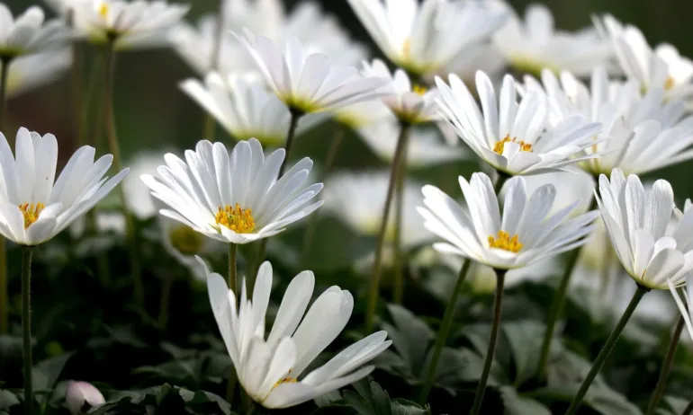 Слънчев понеделник, но предстои ново разваляне на времето - Tribune.bg