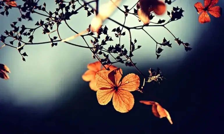 Времето днес: Очаква се застудяване - Tribune.bg