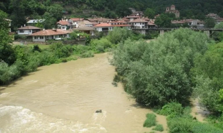 БАБХ: Изхвърлените прасета в р. Янтра не са били болни от чума - Tribune.bg