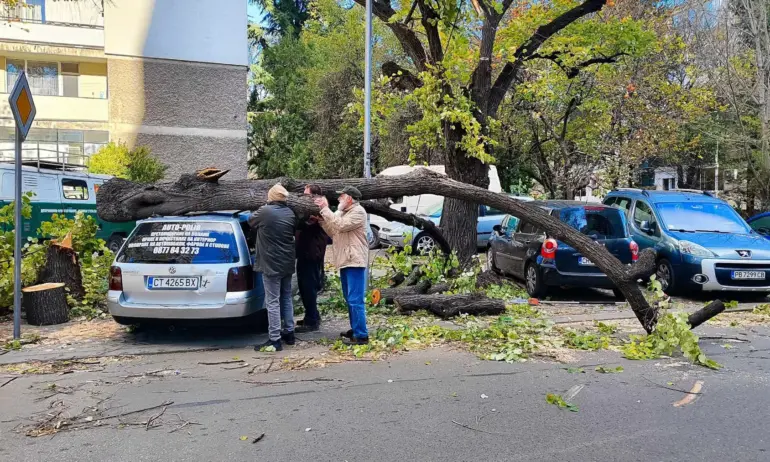Във Варна ситуацията продължава да е много тежка, силният вятър в Стара Загора събори дървета - Tribune.bg