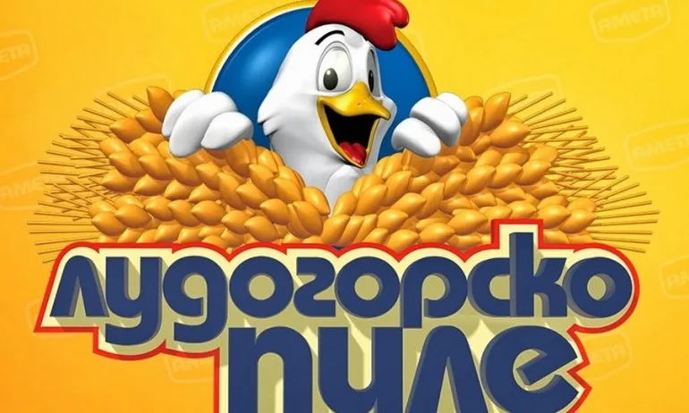 Зарков: Конкурент на Градус е Лудогорско пиле, а собственикът му е налял десетки милиони на Манолова и ДБ - Tribune.bg