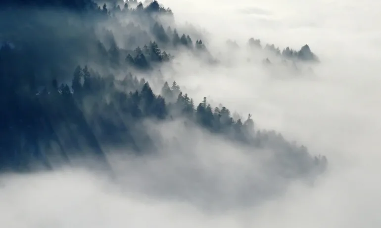 Мъгла силно ограничава видимостта в района на Поморие, Котел и в части от магистрала Тракия - Tribune.bg