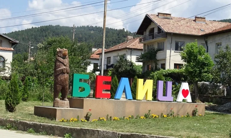 Повече от 50 000 подписа в защита на мечката в Белица - Tribune.bg