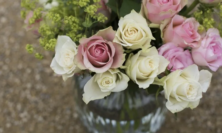 За предпочитанията към цветята и характера - Tribune.bg