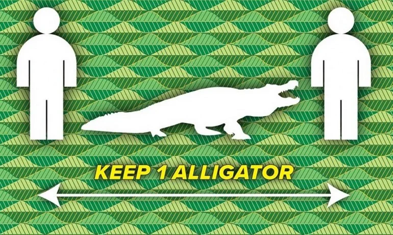Заради COVID-19: Във Флорида хората трябва да са на разстояние един голям алигатор - Tribune.bg