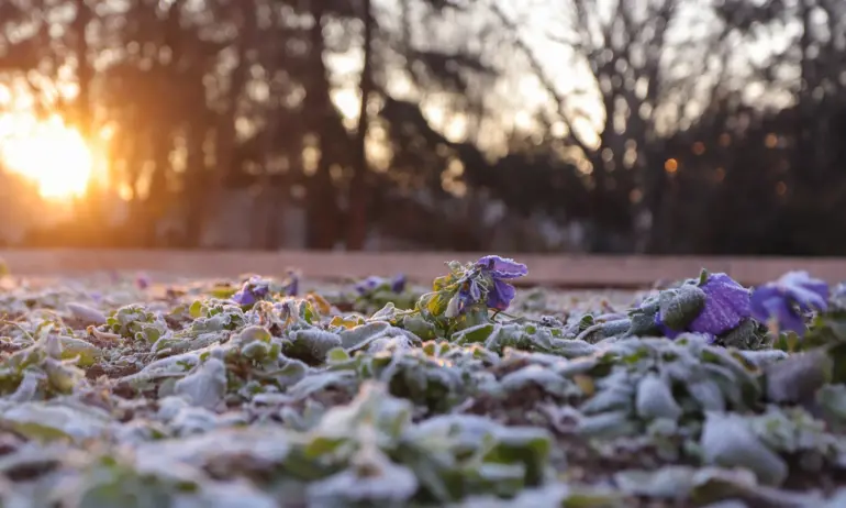 Пролетно време през февруари – температурите скачат до 22-23 градуса - Tribune.bg