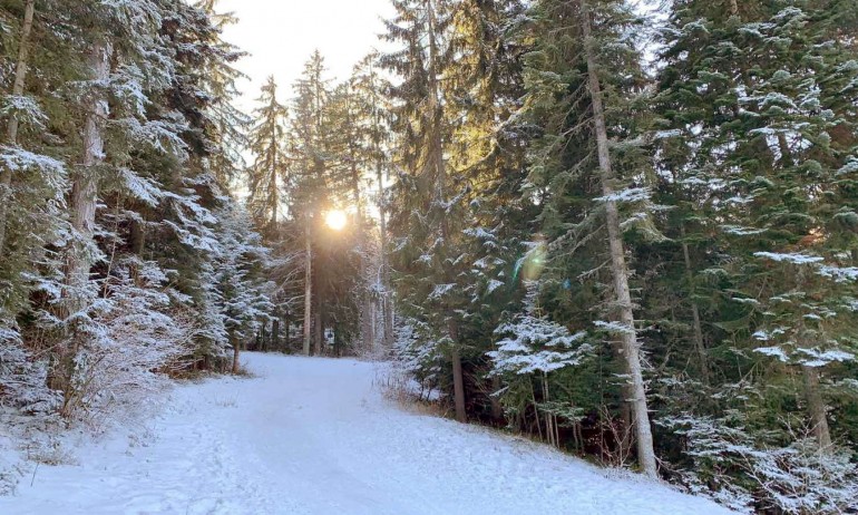 От днес: Снеговалежи, студ и вятър - Tribune.bg