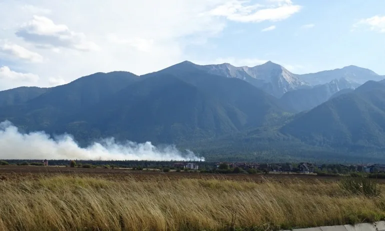 Локализиран е пожарът в Пирин - Tribune.bg
