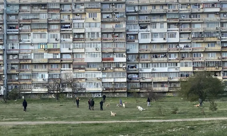 Собственици на кучета във Варна не спазват мерките срещу заразата - Tribune.bg
