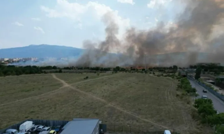 Пожар и гъст дим над Люлин – огънят обхвана сухи треви (СНИМКИ) - Tribune.bg