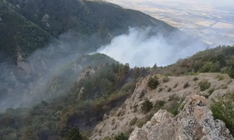 Голям пожар е избухнал при Троянския проход (ВИДЕО/СНИМКИ) - Tribune.bg