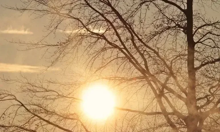 Времето днес: Слънчево, с температури до 23° - Tribune.bg