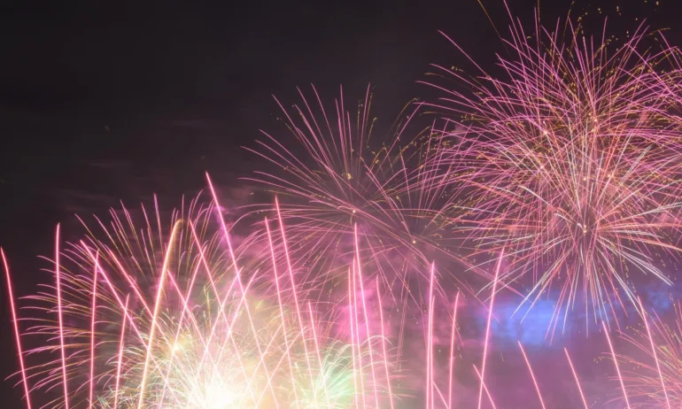 Честита Нова година! - Tribune.bg