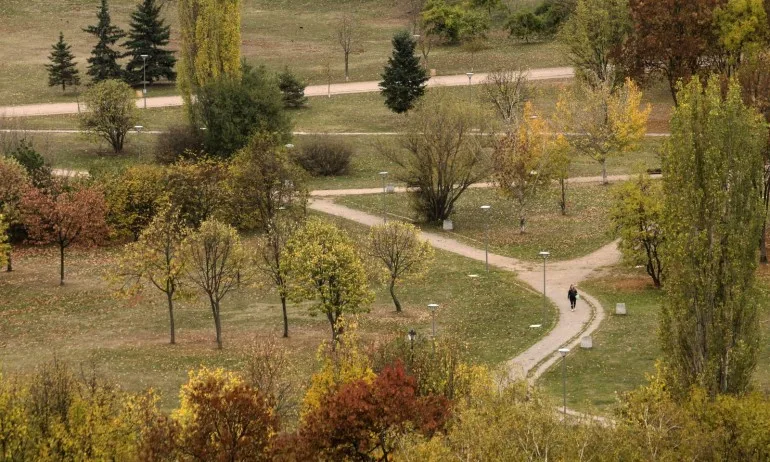 Слънчево през деня, сутринта ще е хладно - Tribune.bg