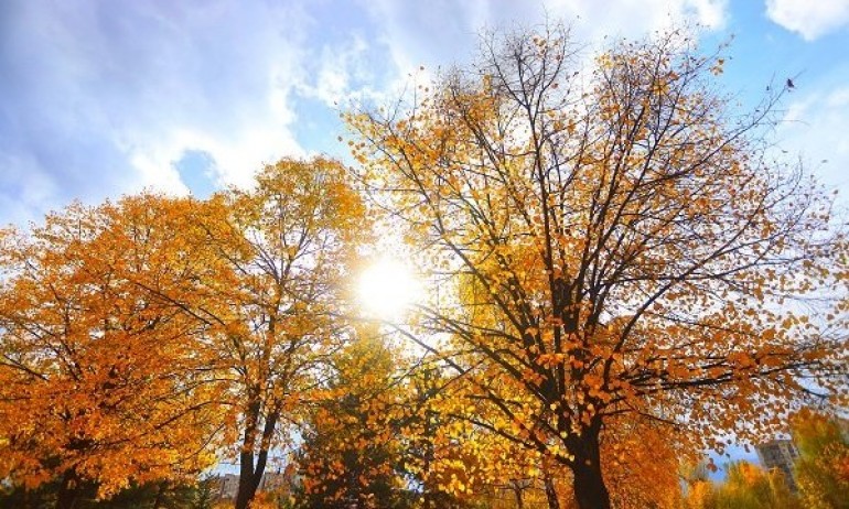 Слънчево и топло в изборния ден - Tribune.bg