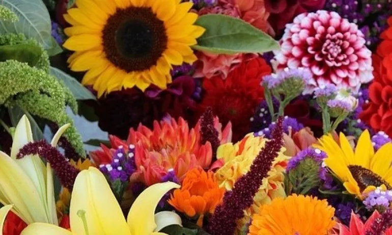 Изберете си букет и вижте какво е вашето послание (ТЕСТ/СНИМКА) - Tribune.bg