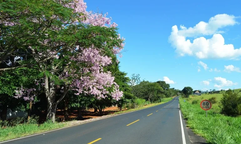 Изберете едно число от таблицата и прочетете посланието на вашата съдба! - Tribune.bg