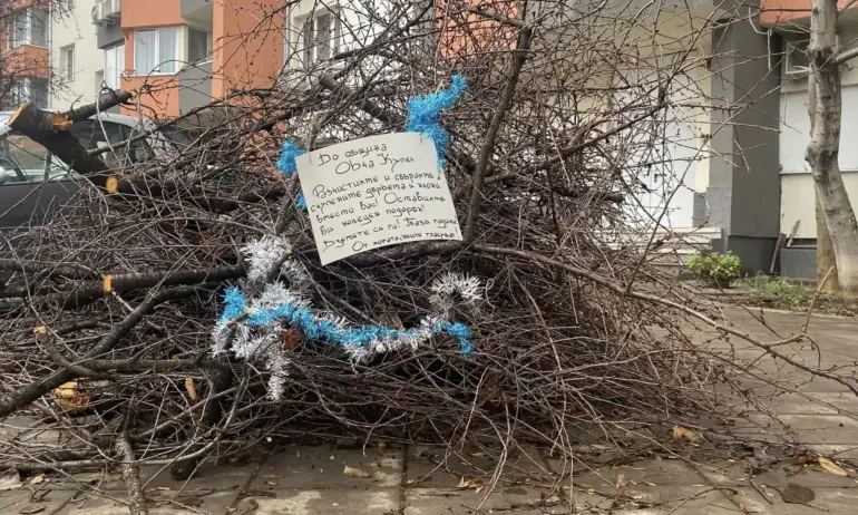 В Овча Купел украсиха коледното дърво пред общината - Tribune.bg