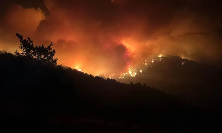 След големия пожар в Струмяни: 14 постройки са изцяло или частично изгорели - Tribune.bg