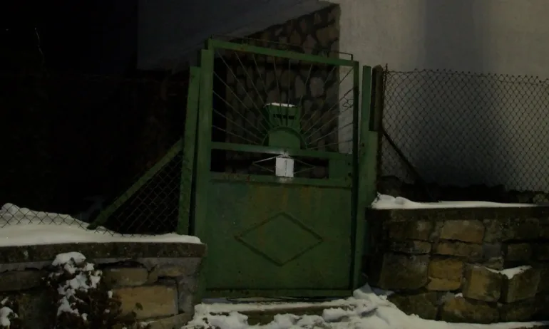 Жената, обвинена в убийства на животни, остава за постоянно в ареста - Tribune.bg