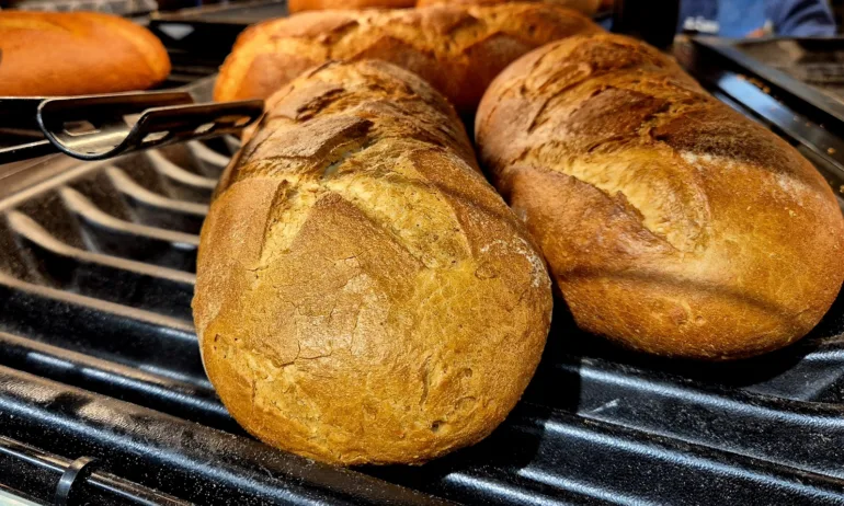 Доц. Огнян Боюклиев: Хлябът не трябва да е евтин, а качествен - Tribune.bg