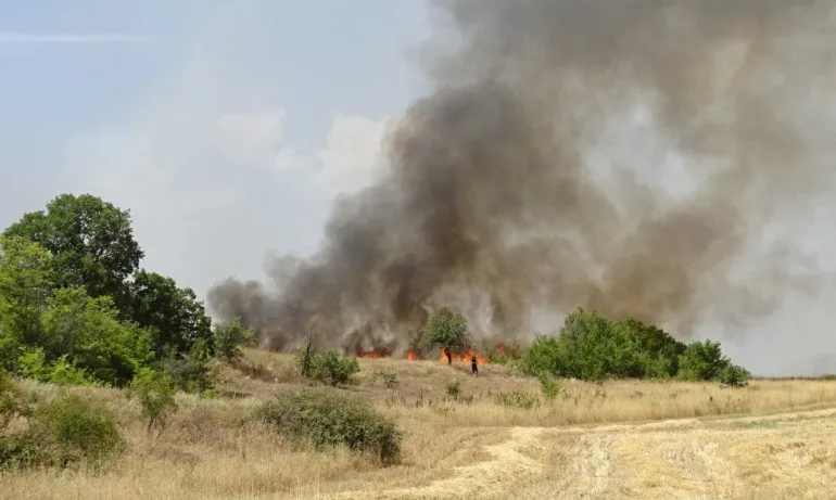 Огромен пожар изпепели 15 къщи в Долно село, двама души са в болница след обгазяване - Tribune.bg