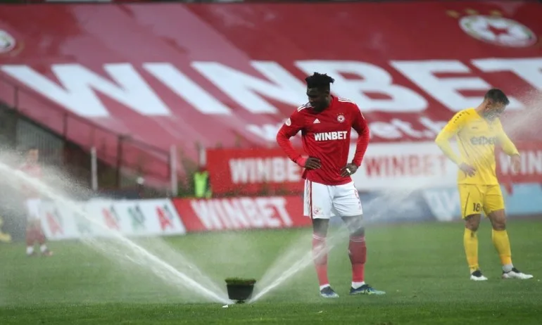 Вижте всички резултати и голмайстори за Купата на България - Tribune.bg