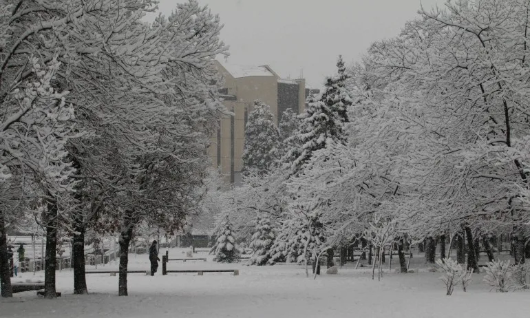 Жълт код за сняг и студ в 19 области в неделя - Tribune.bg