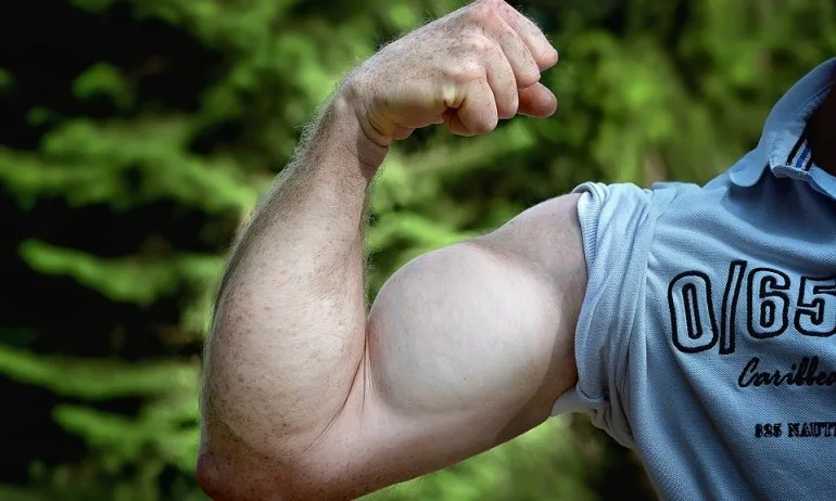 Учени: Колкото ти е по-голям бицепсът, толкова ти е по-малък жезълът - Tribune.bg