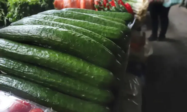 Само за седмица: Цената на краставиците скочи с над 27% - Tribune.bg
