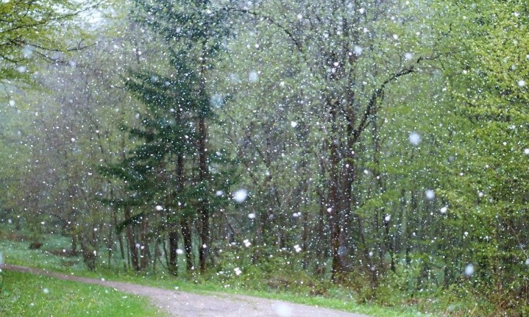 Времето през януари - от минус 15 до плюс 17 градуса - Tribune.bg