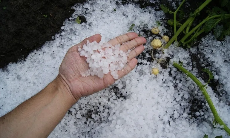 Земеделци блокираха пътя Пловдив - Карлово заради унищожената реколта - Tribune.bg