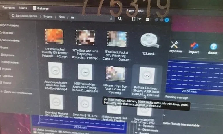 ГДБОП и още 38 държави удариха мрежа за детска порнография - Tribune.bg