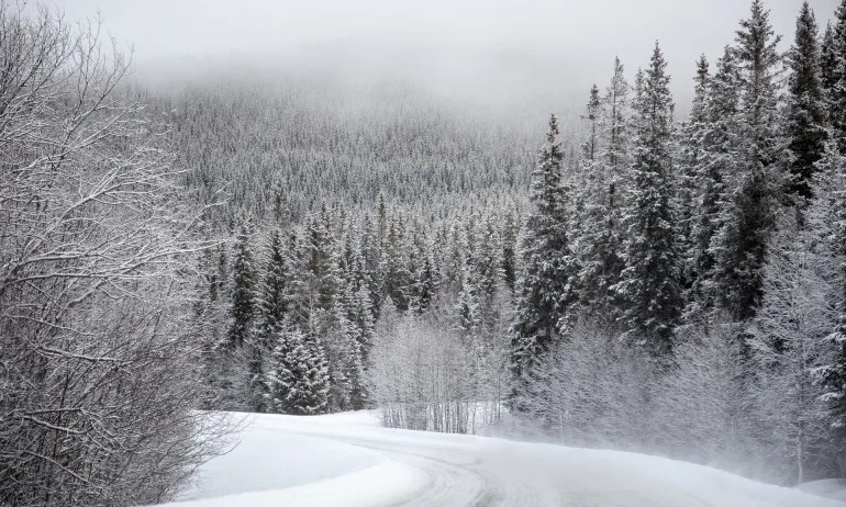 Отново на път – хиляди коли потеглиха преди Нова година - Tribune.bg