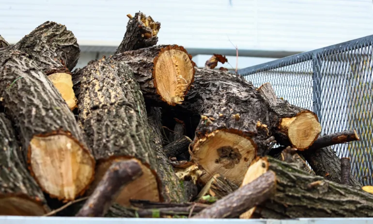 От 1 януари влиза в сила нискоемисионната зона за битово отопление - Tribune.bg