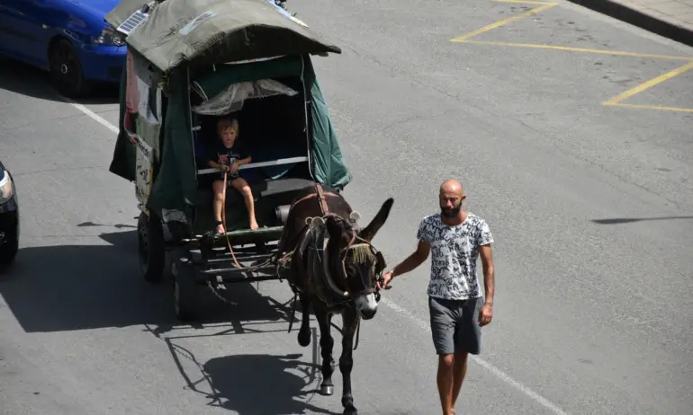 Френско-палестинското семейство, което пътува с каруца за Палестина, е гост