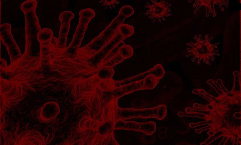 Две деца са сред жертвите на COVID-19 у нас - Tribune.bg