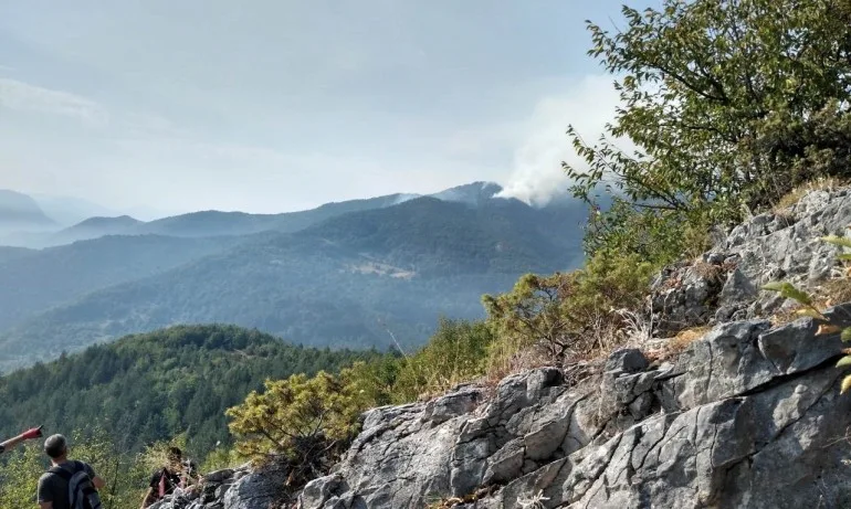 Пожарът край Югово продължава, дъждът изгаси стихията частично - Tribune.bg