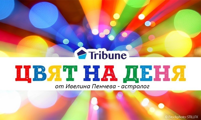 Цветовете на седмицата от 17 до 23 януари по лунен календар - Tribune.bg