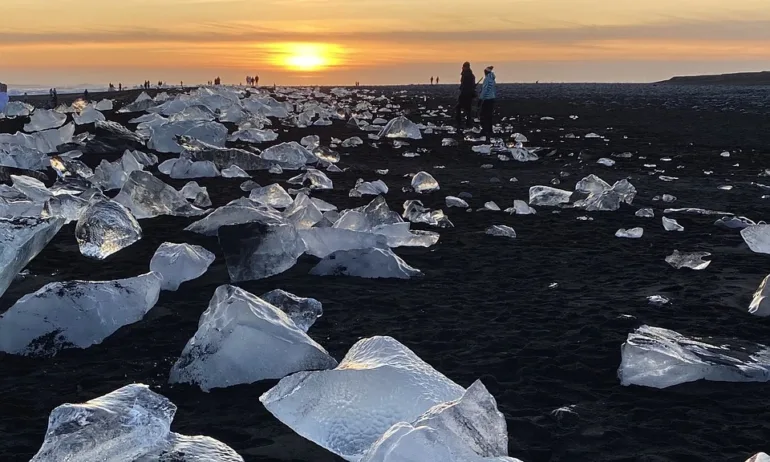 7 невероятни открития през 2024 г. - Tribune.bg