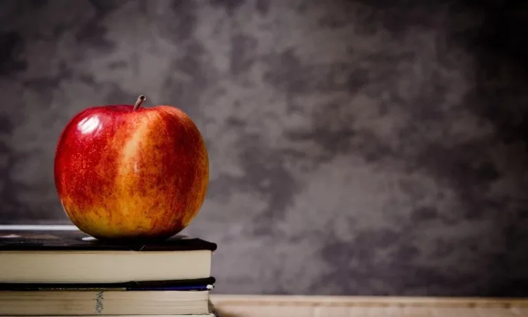 ЮНЕСКО: Светът ще се нуждае от 44 млн. учители до 2030 г. - Tribune.bg