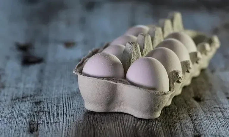 Яйцата у нас са поскъпнали с 30% за година - Tribune.bg