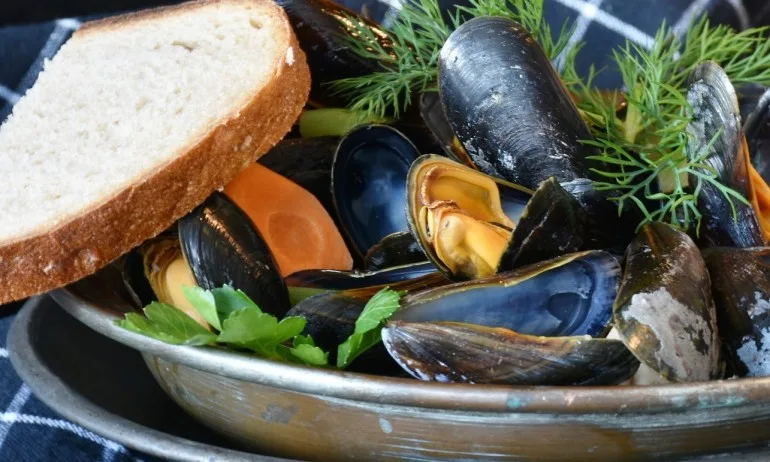 Рекордната жега унищожила половината мидена реколта, в гръцките таверни няма миди - Tribune.bg